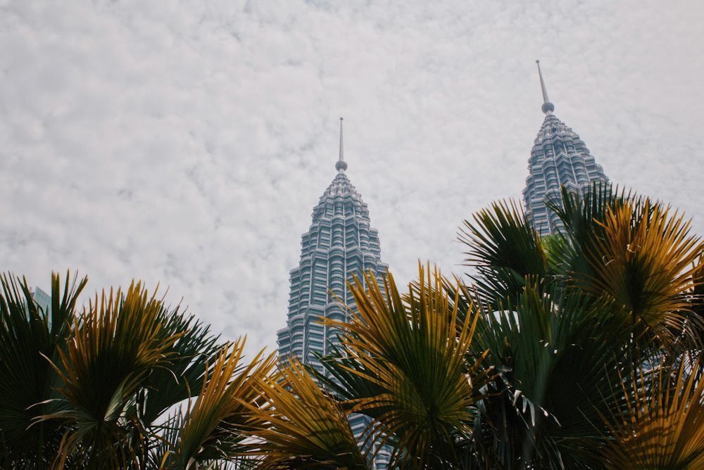 Petronas Twin Towers above the trees in Kuala Lumpur, Malaysia